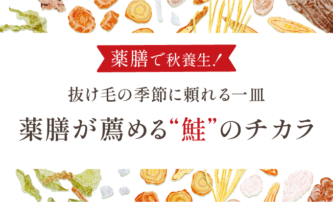秋の乾燥・抜け毛に。薬膳視点で選ぶ「鮭」の美髪パワー
