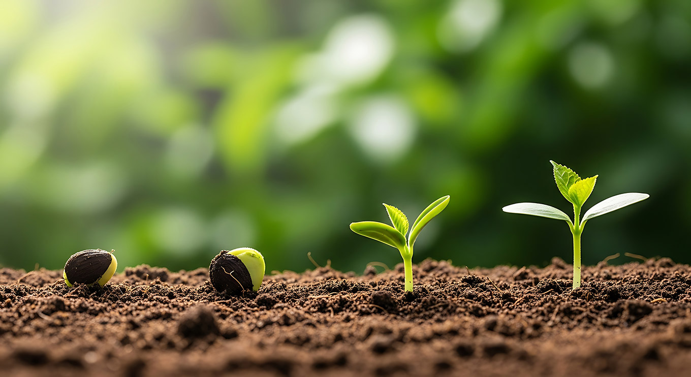 マイナチュレ頭皮ケア研究所 はじまりの物語