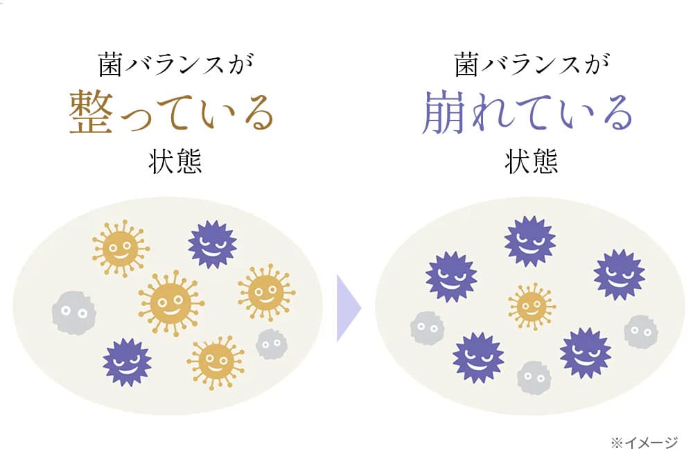 菌バランスのイメージ