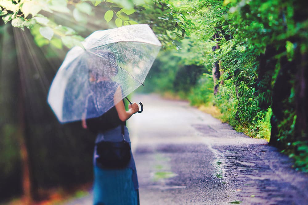 梅雨の季節