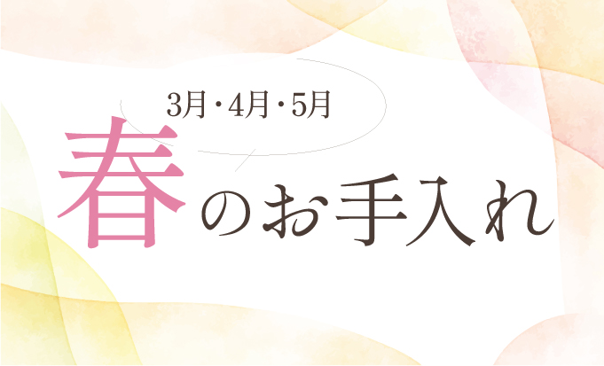 なぜ春に抜け毛・かゆみが気になるの？40代・50代のための「攻めの育毛」と頭皮バリア対策