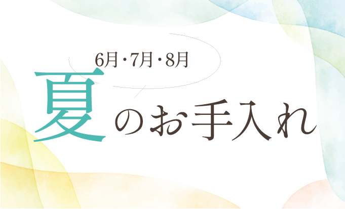 夏の頭皮トラブルに注意！6月・7月・8月に実践したい正しい頭皮ケアと紫外線対策