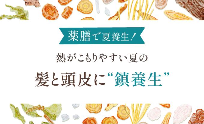 【夏の薬膳養生】熱を逃がして美髪を育む！40代からの髪と頭皮の“鎮養生”